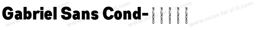 Gabriel Sans Cond字体转换